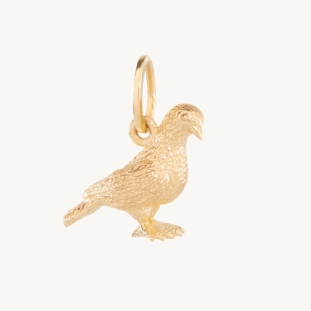 Catbird’s Humble Pigeon